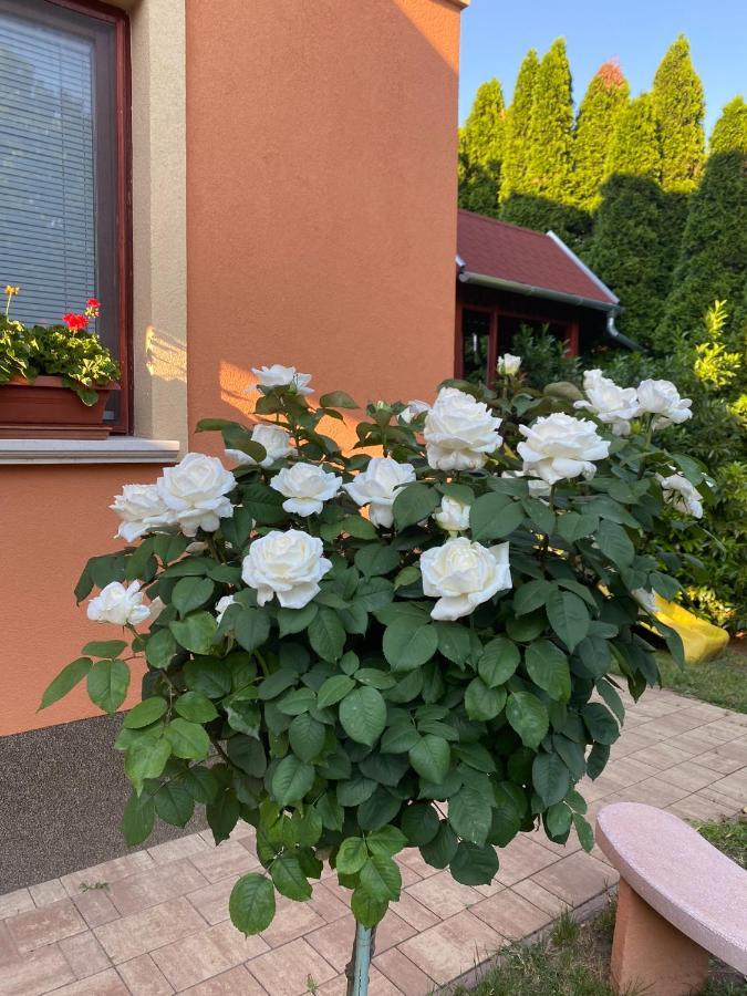 Apartman Dóra Hajdúszoboszló Zewnętrze zdjęcie
