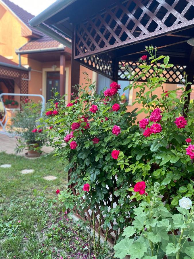 Apartman Dóra Hajdúszoboszló Zewnętrze zdjęcie